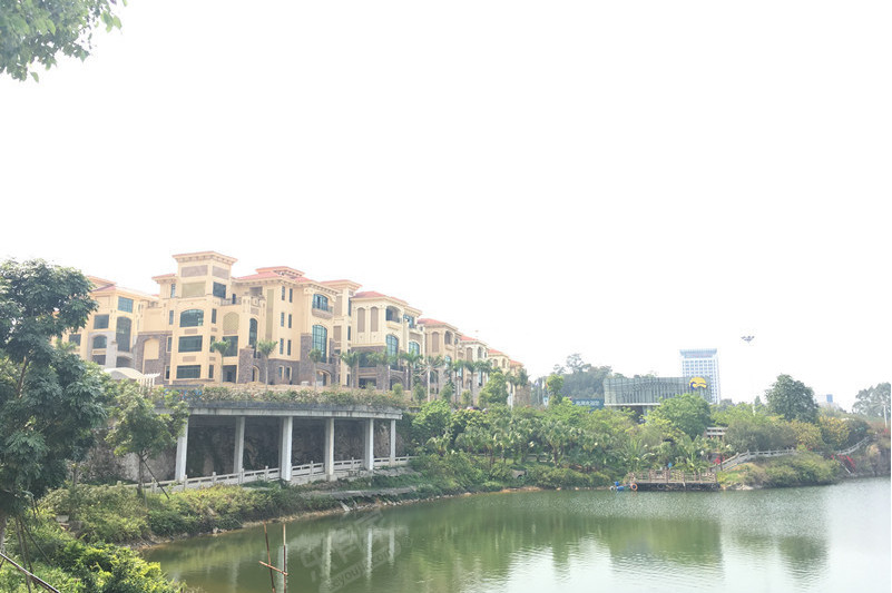  p>东莞龙湖花园小区环境优美,物业管理完善,配套娱乐设施齐全,房子