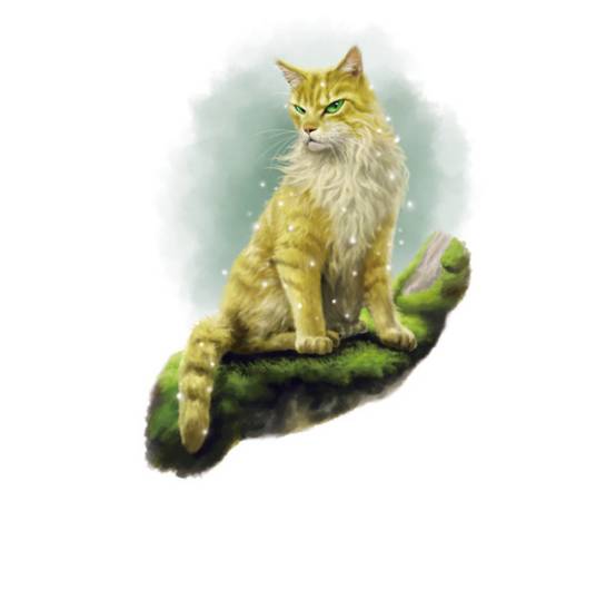 狮心（动物文学小说《猫武士》中的角色）_百度百科