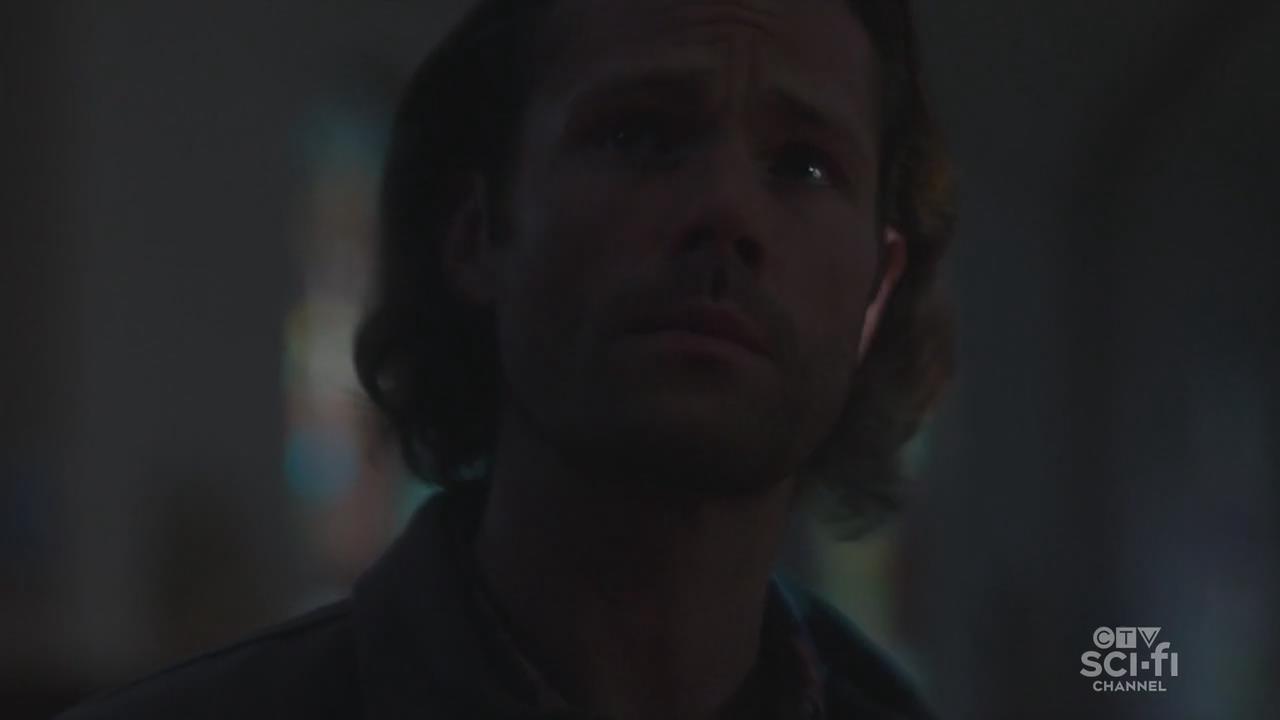 邪恶力量第十五季