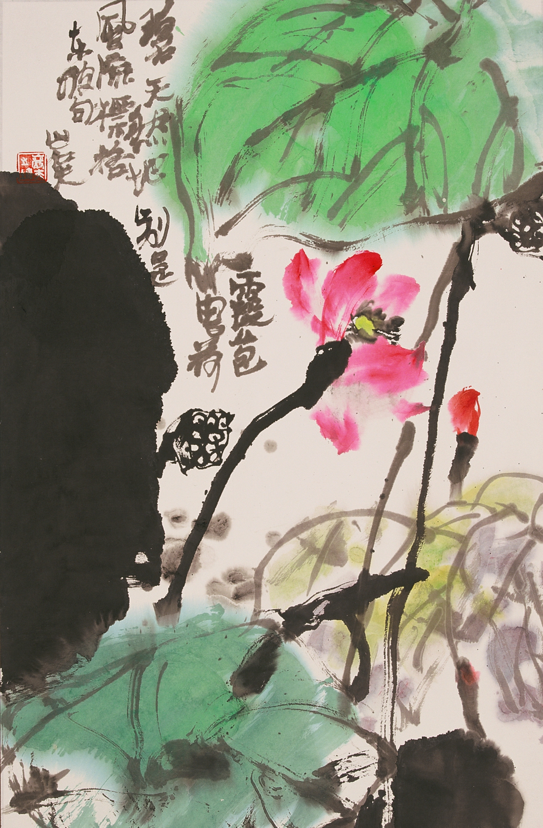 踪岩夫