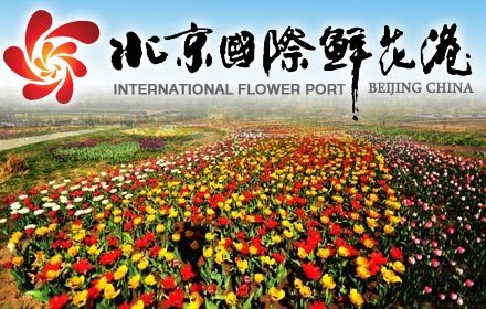 北京国际鲜花港_百度百科