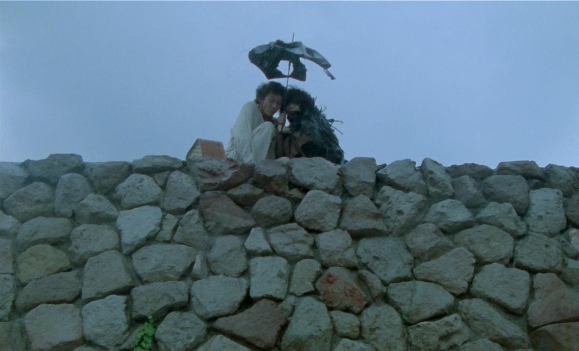 梦旅人picnic(1996)