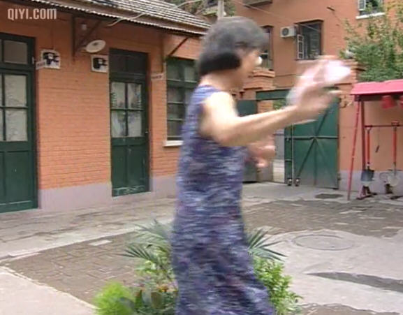 党员马大姐