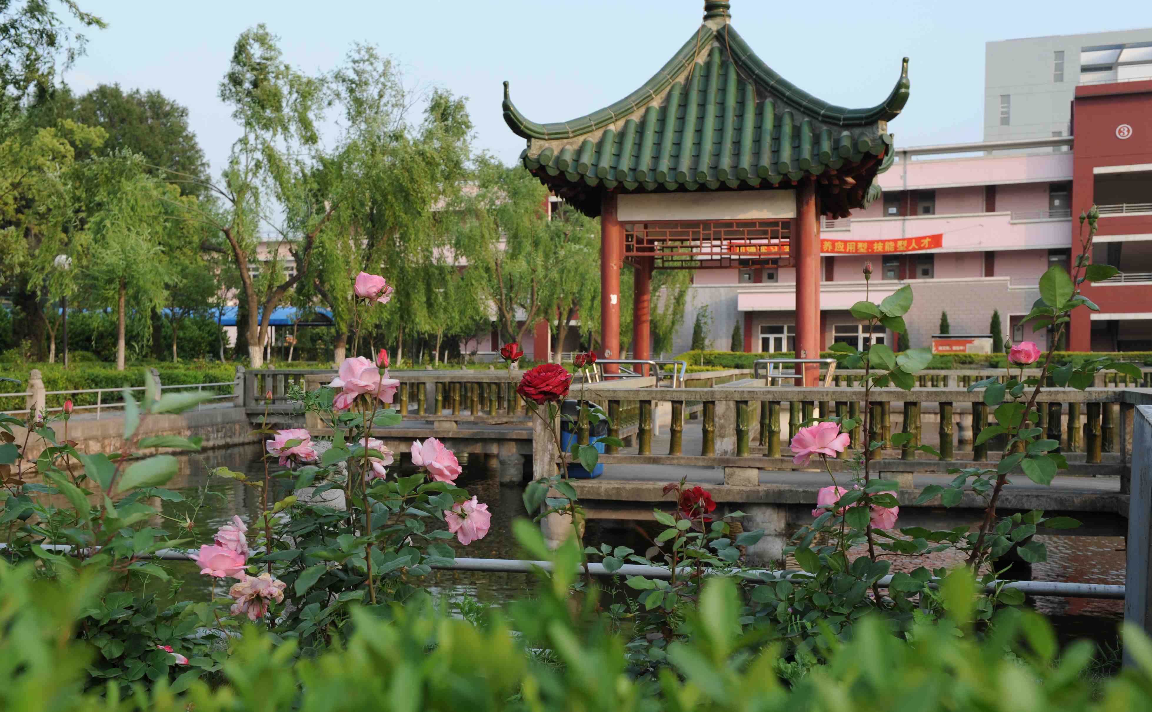  p>上海民远职业技术学院(以下简称民远学院),位于上海市,是纳入国家
