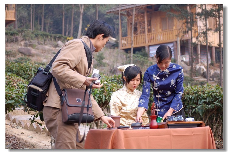 茶是故乡浓