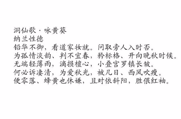 洞仙歌·咏黄葵