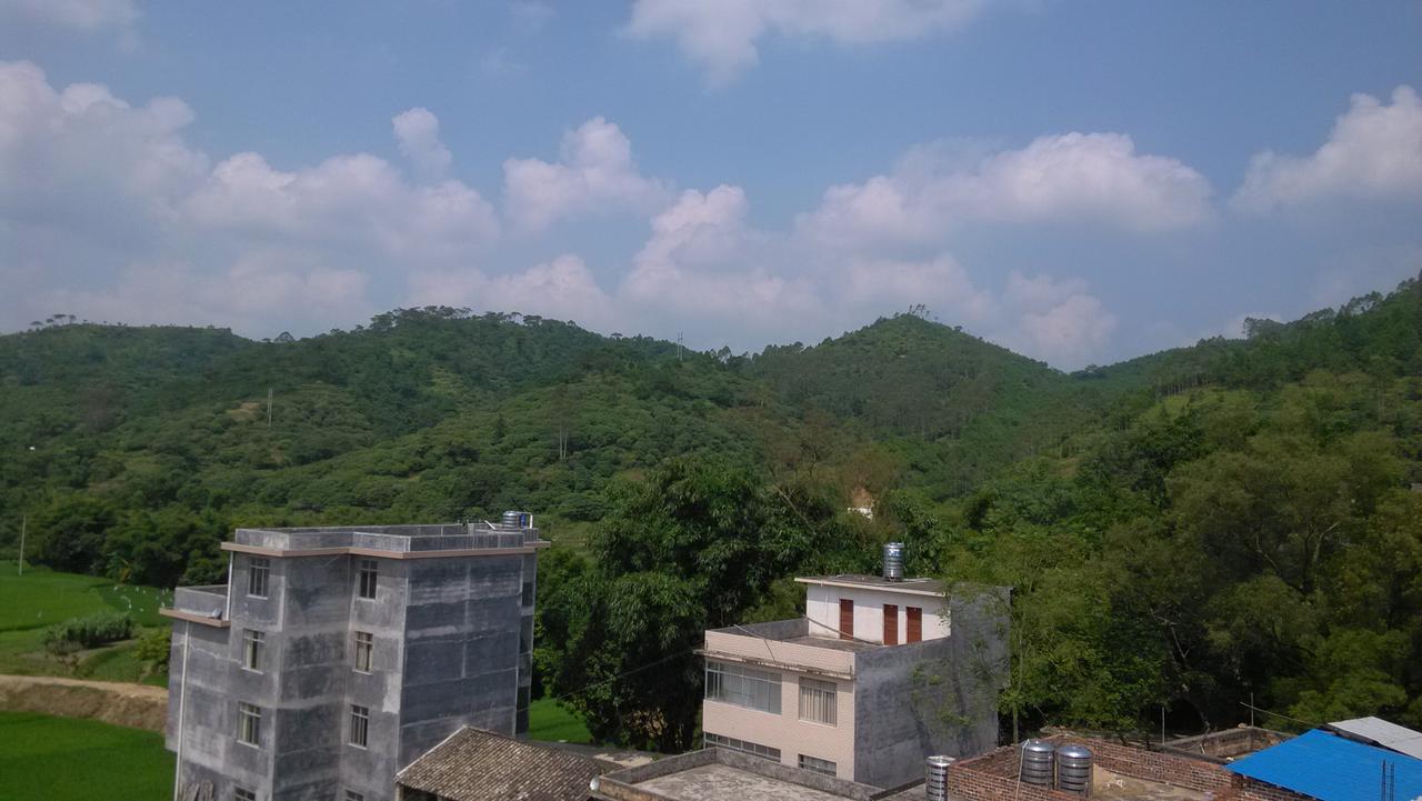  p data-id="gn79k76eut">大垌坡位于广西北流市六麻镇六麻村,距离六