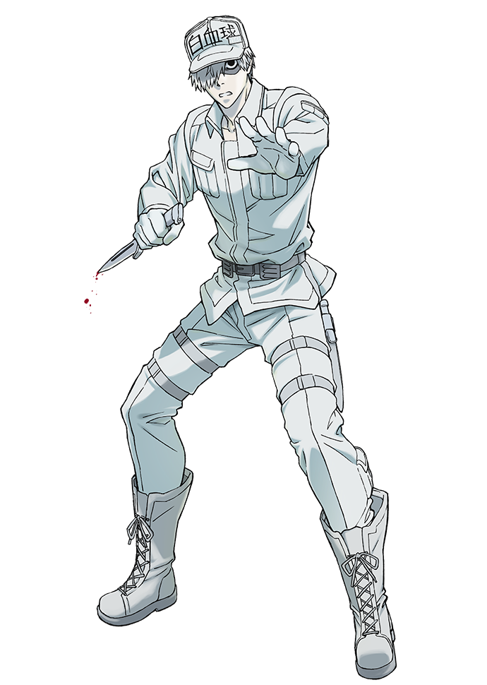  p data-id="gncn62ri8o">白细胞(白血球(はっけっきゅう/hakkekkyuu)