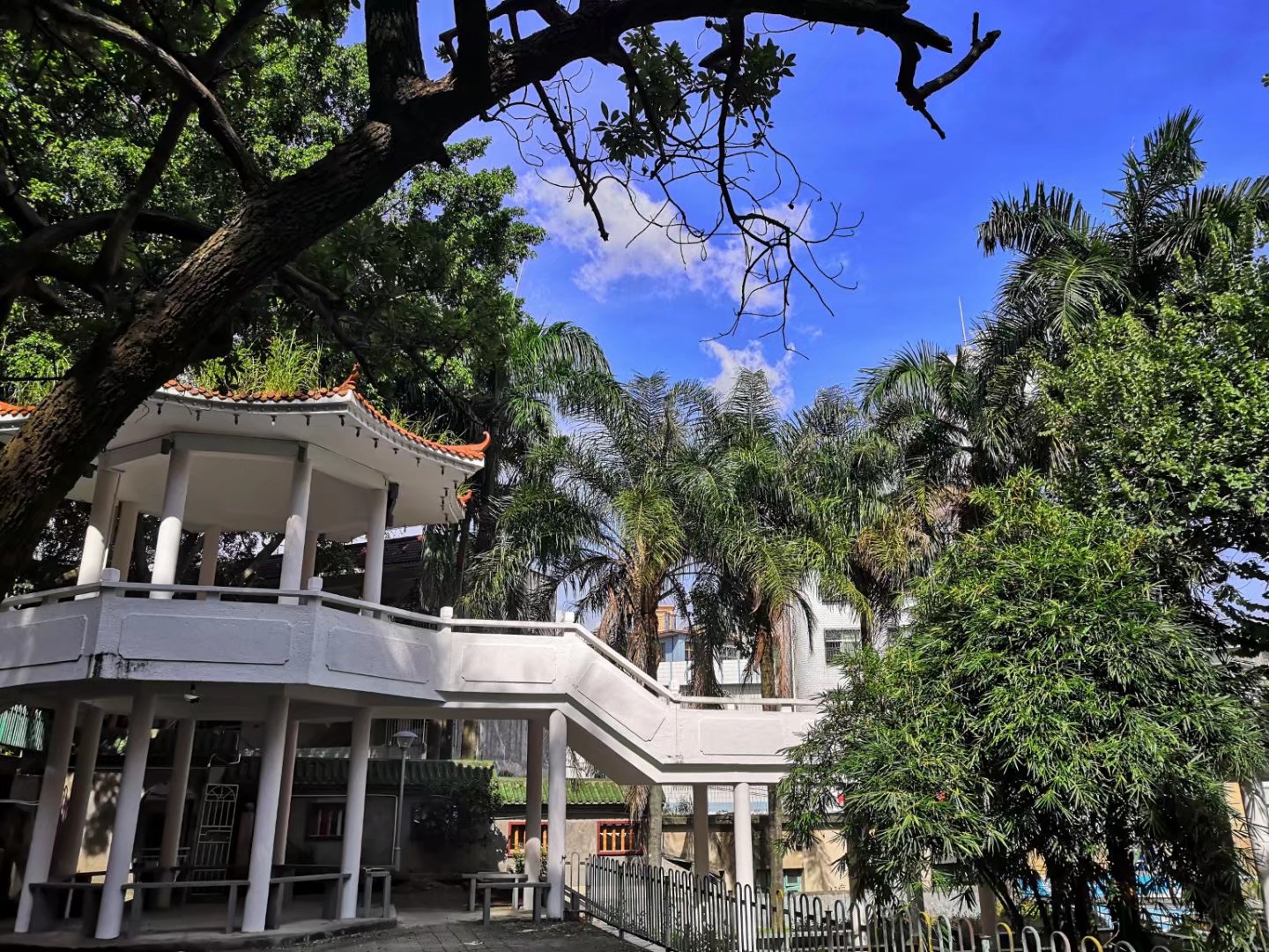 福建省云霄第一中学