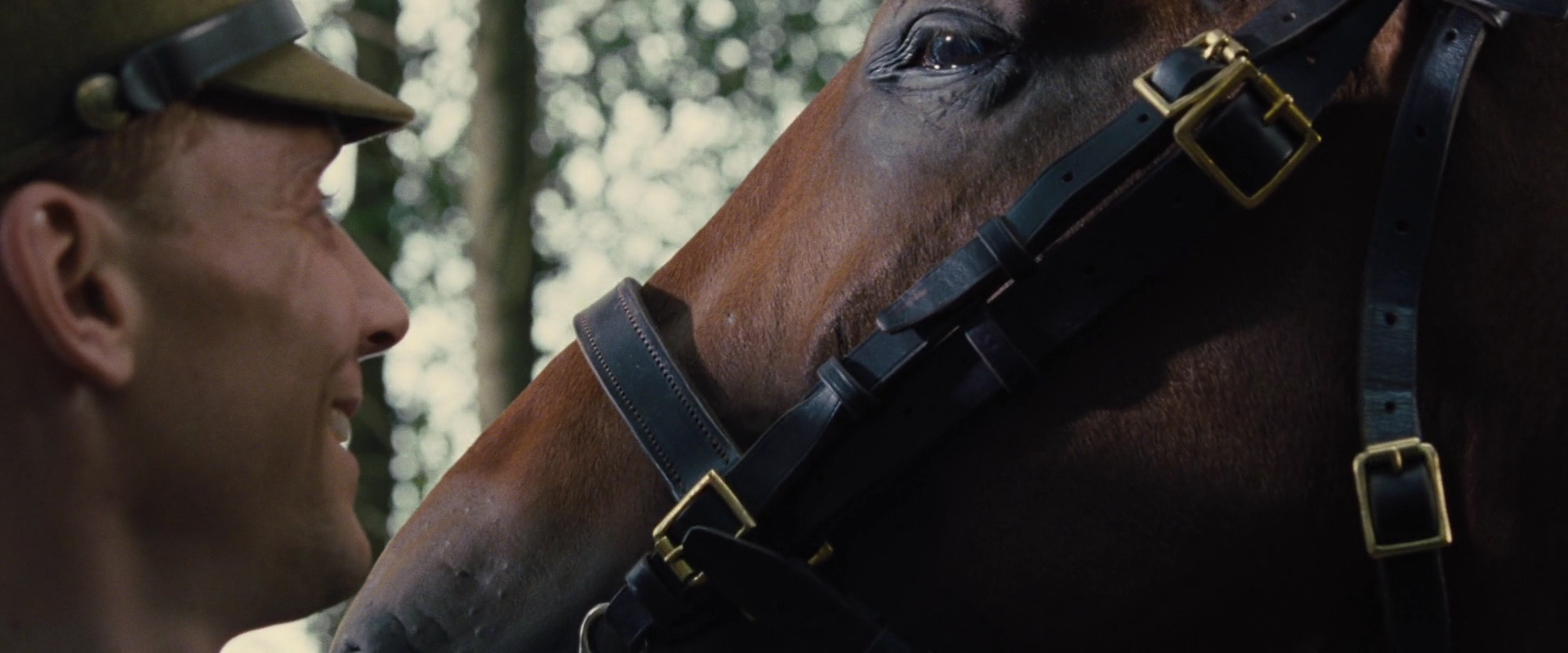 电影战马 全网资源