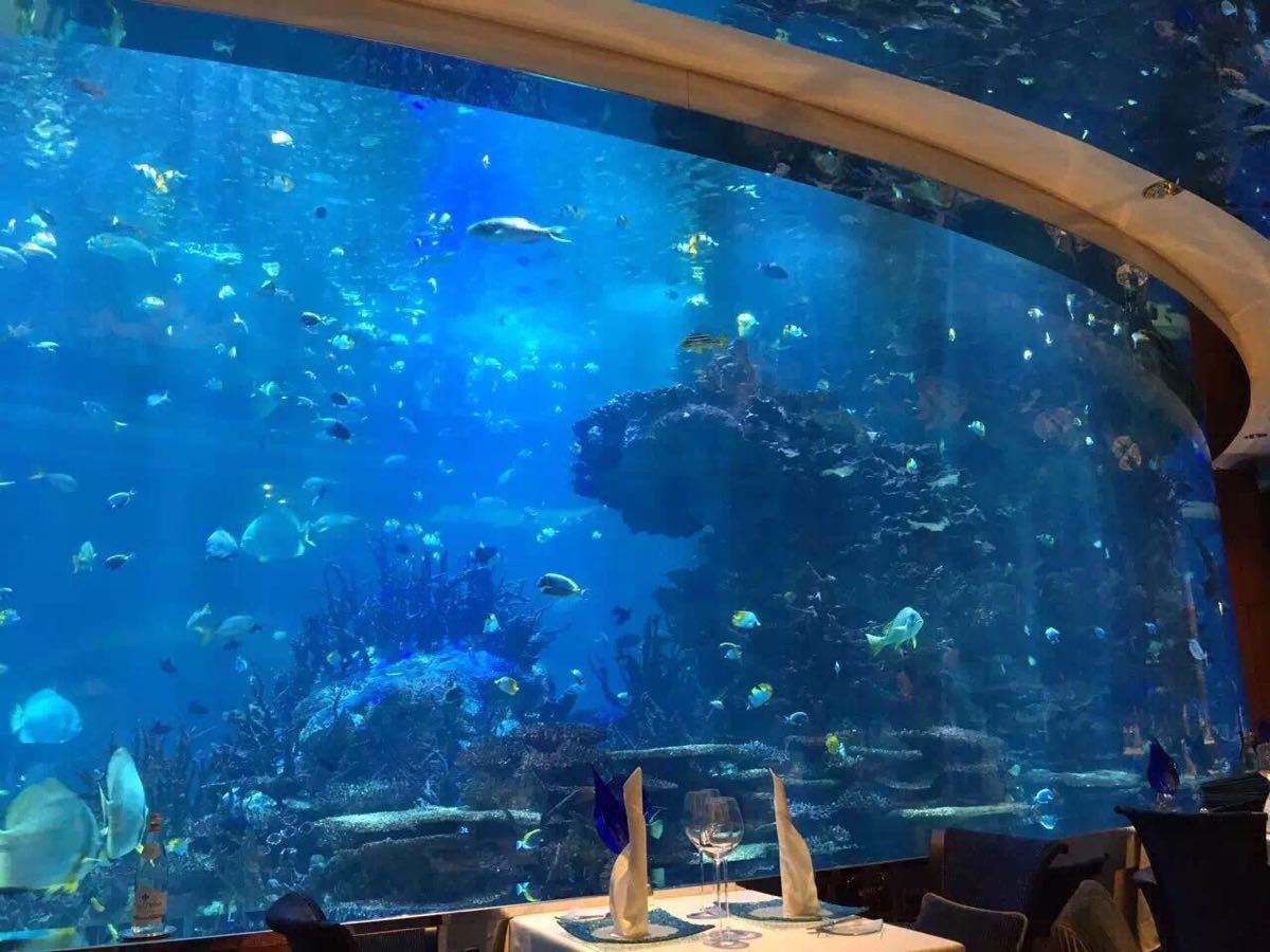  p>海底餐厅,是指在海平面以下6米处的餐馆,餐厅外层是透明的 a href=