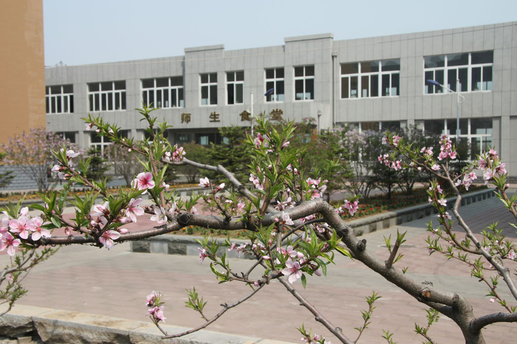 省 /a>示范高中,辽宁省级特色学校,东港市第三中学是一所普通高级中学