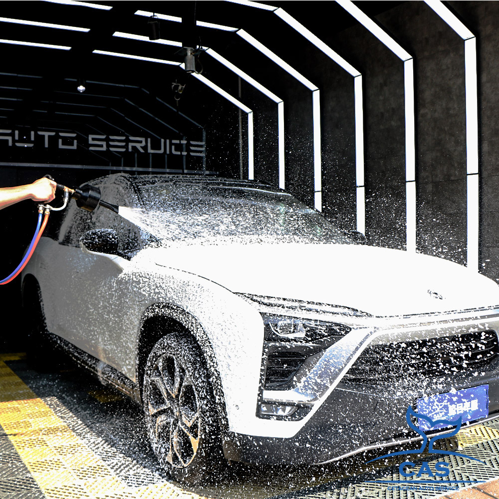 上海鲸目汽车服务有限公司