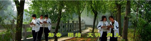  p>龙港十中,湖前二中.