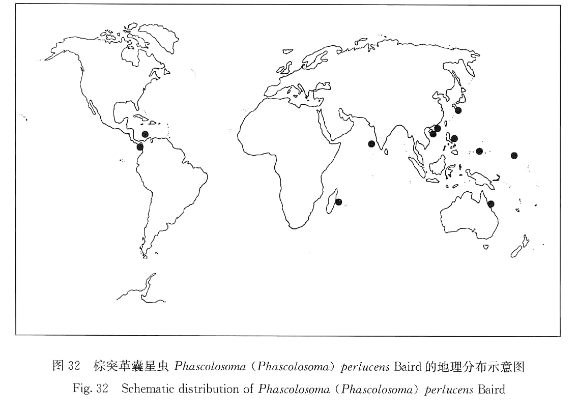 南海;日本,菲律宾群岛,大堡礁,加罗林群岛,马绍尔
