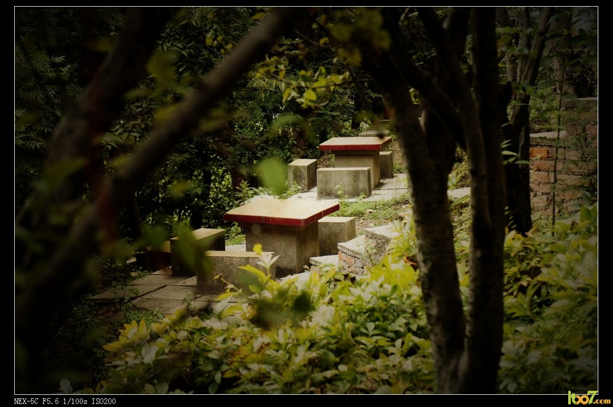岩泉寺公园