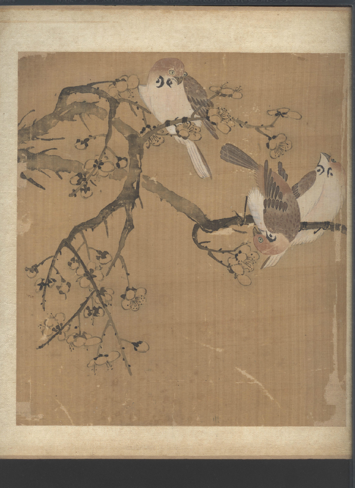 马荃