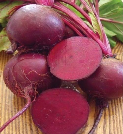  p>察右前旗甜菜,内蒙古自治区乌兰察布市 a target="_blank" href="