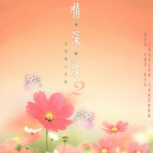 《你是我归乡的路》是宋祖英演唱的一首歌曲,收录于专辑《情深缘2