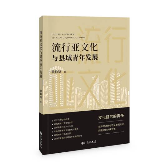流行亚文化与县域青年发展_百度百科