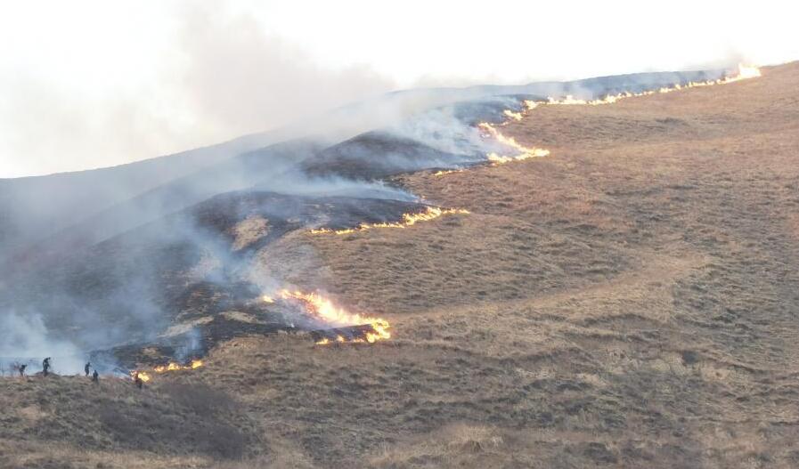 2021年3月13日宁夏固原林场失火