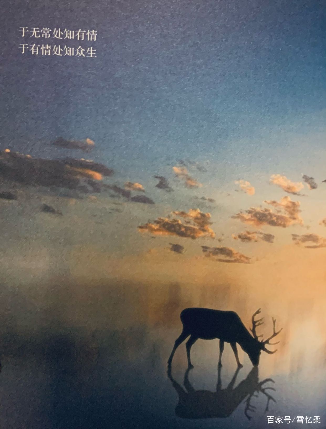 野生作家大冰：在流淌的文字中，开启一场向往的流浪_百科TA说