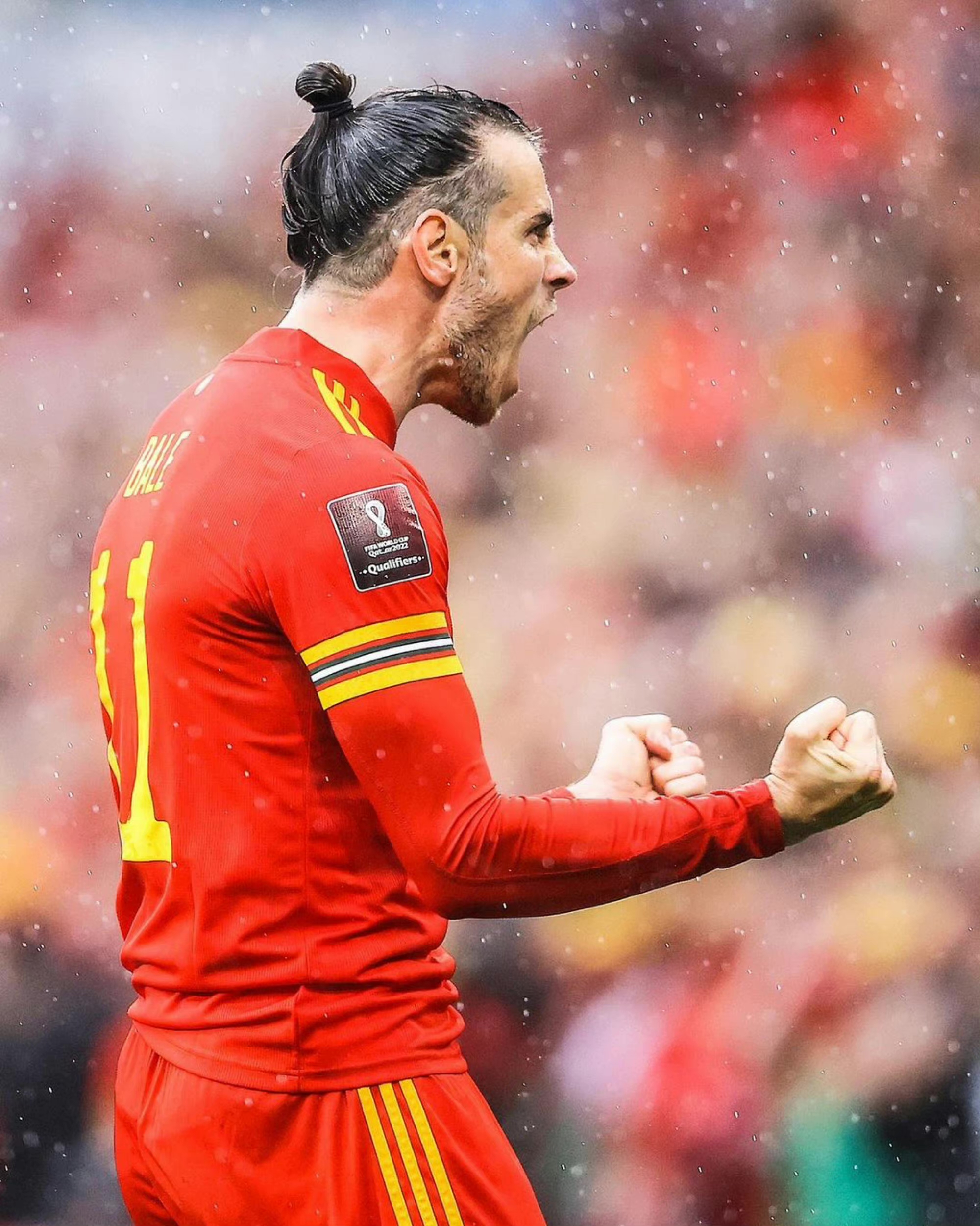 加雷斯·法兰克·贝尔