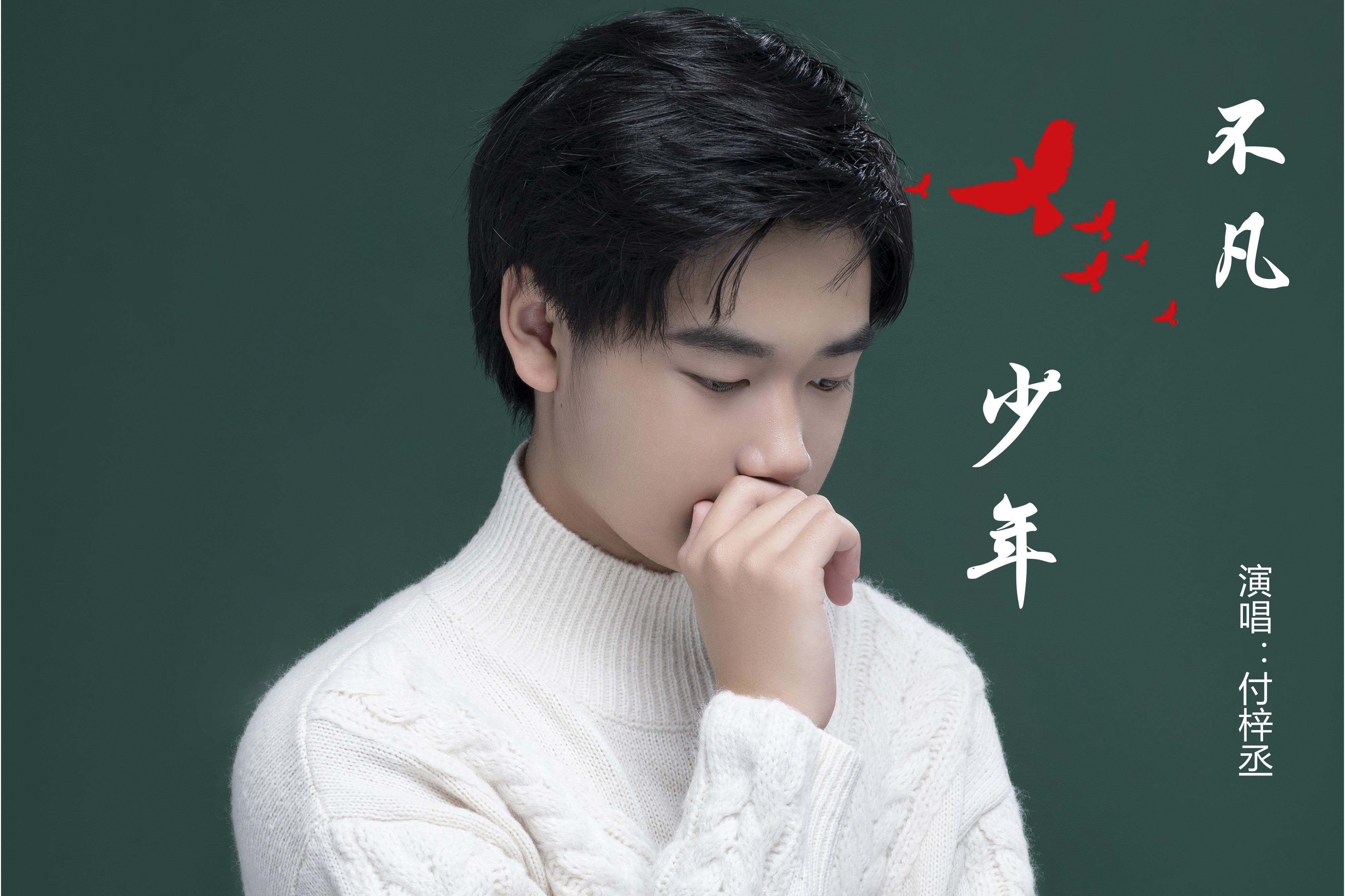  p>《不凡少年》是由付梓丞演唱,张微作词,王元昊作曲的歌曲.