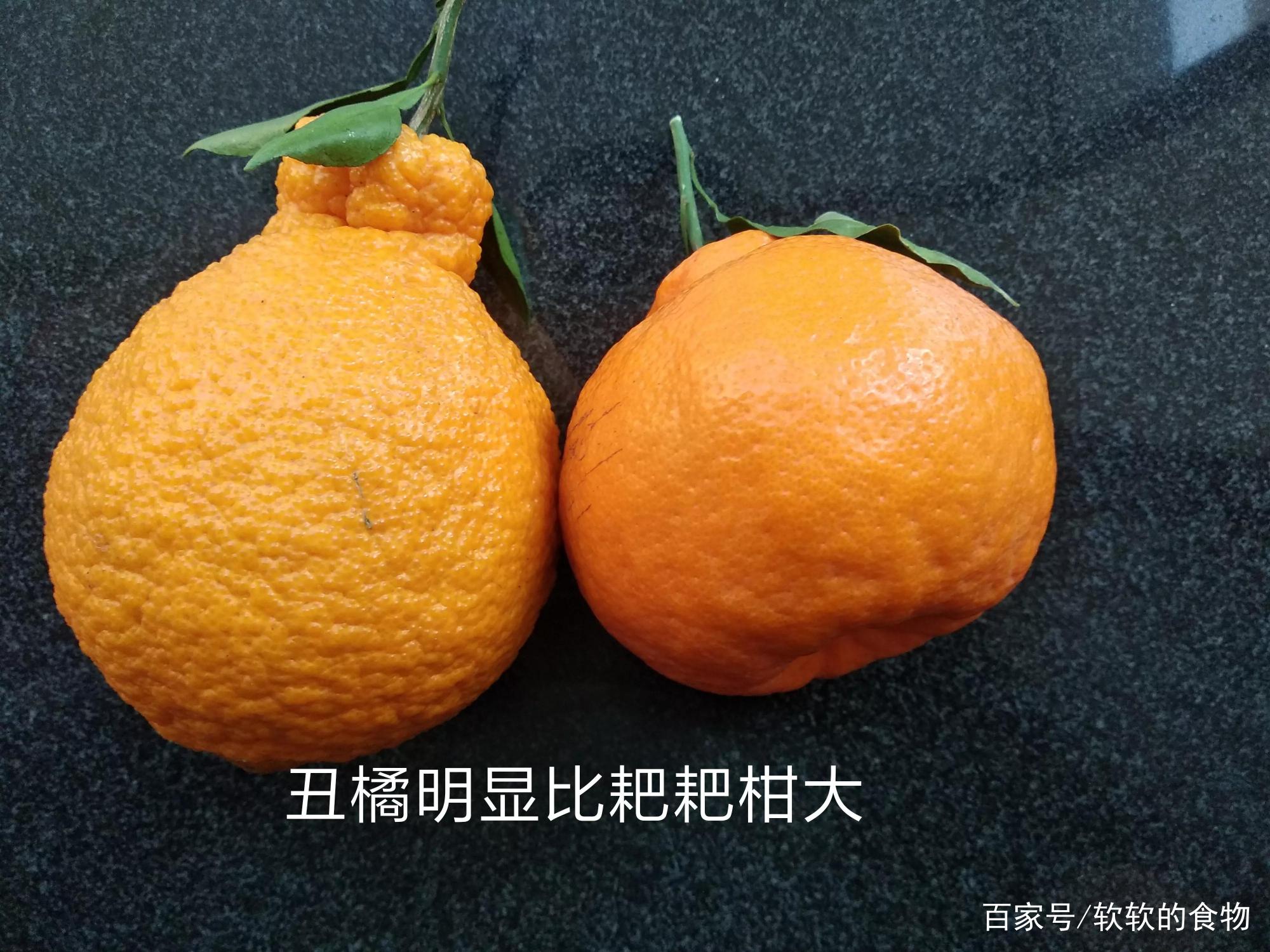 “丑橘”和“耙耙柑”有啥区别？味道口感差不少，学会可别乱买了_百科TA说