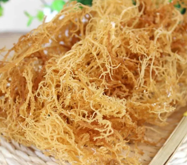 石花菜 变身 记 百科ta说