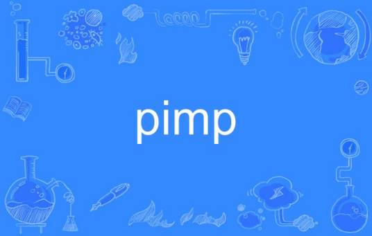 pimp_百度百科