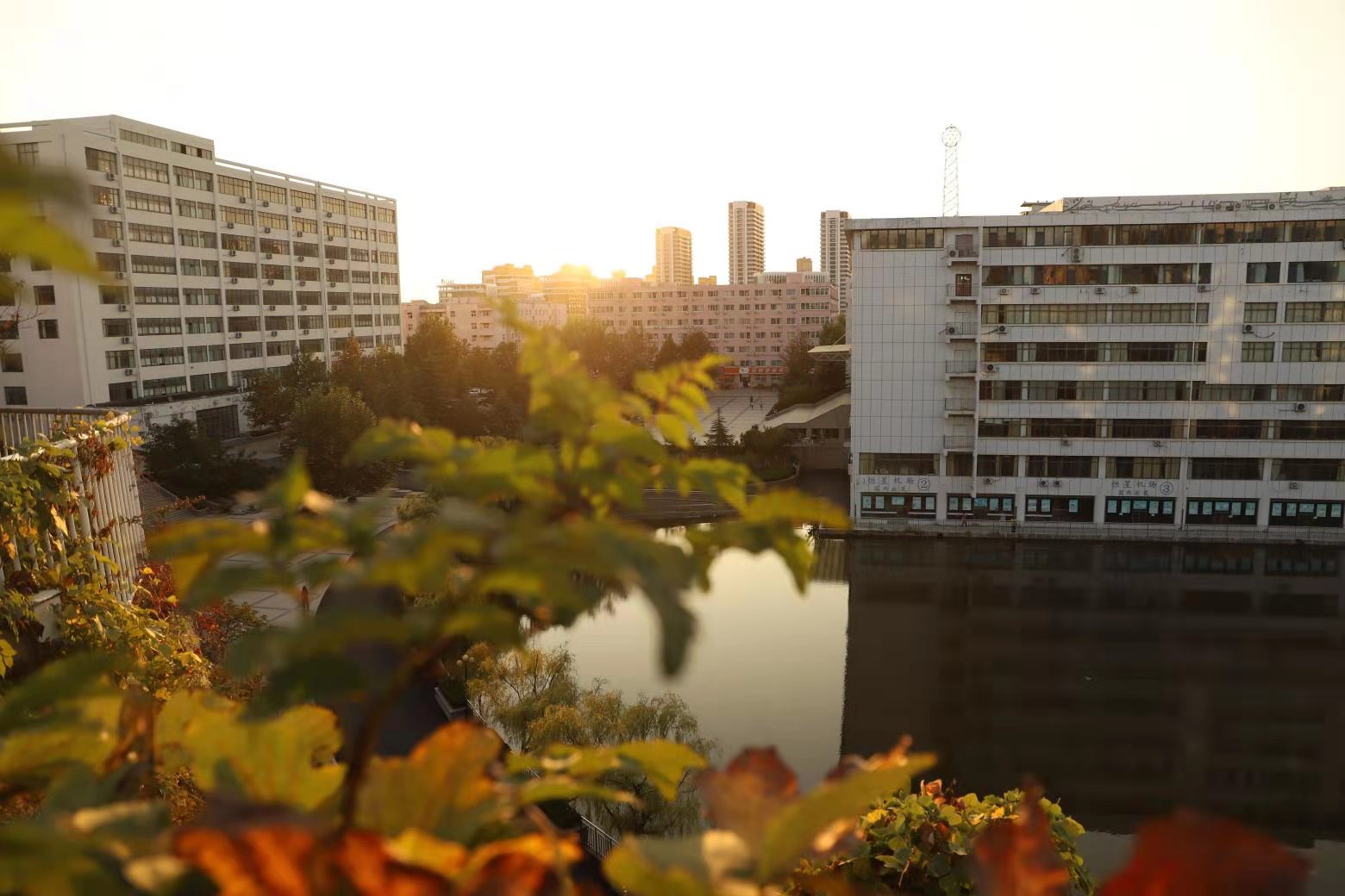 青岛恒星职业技术学院
