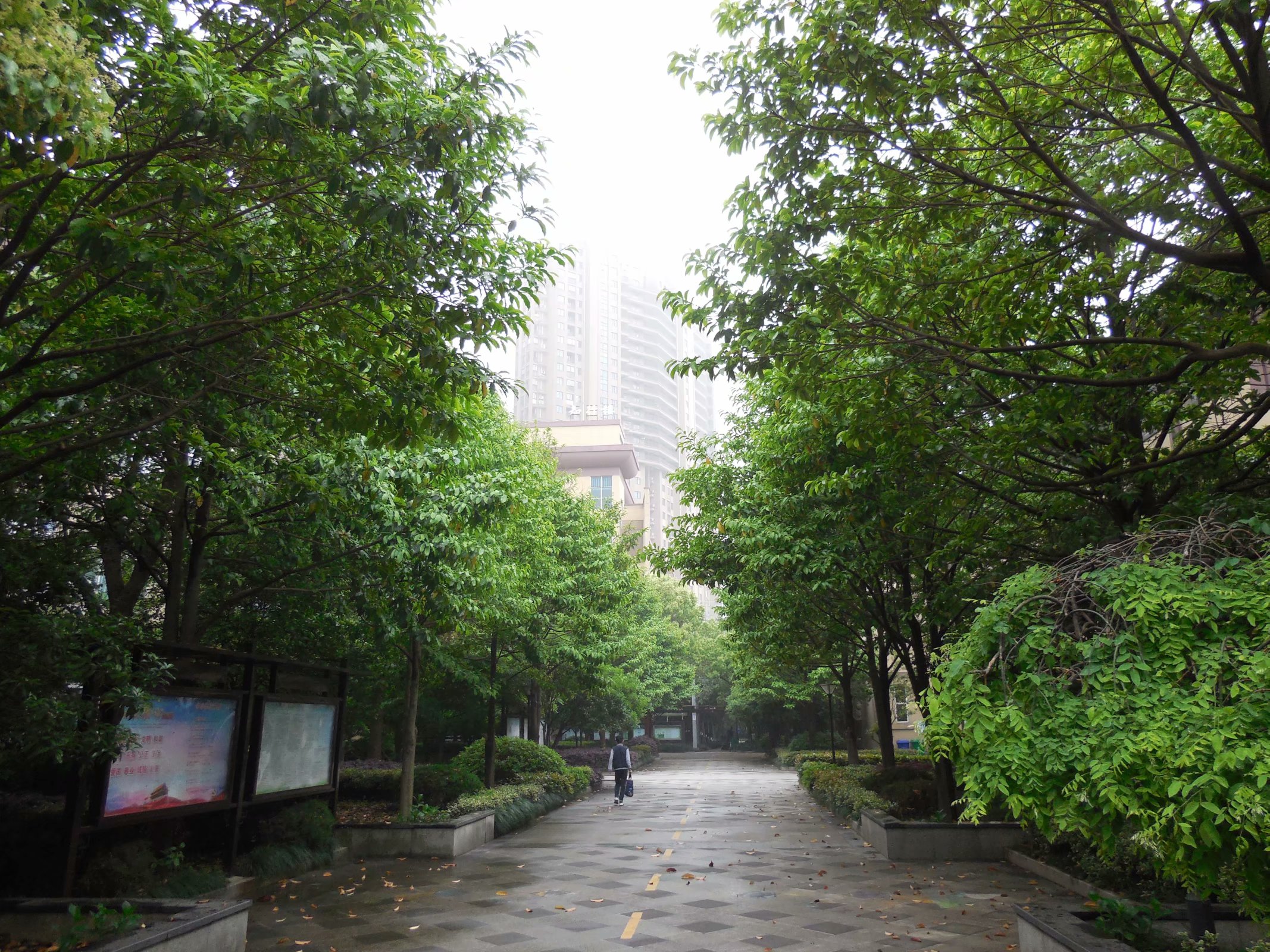 树兰实验学校 /a>位于杭州市 a target="_blank" href="/item/临平区