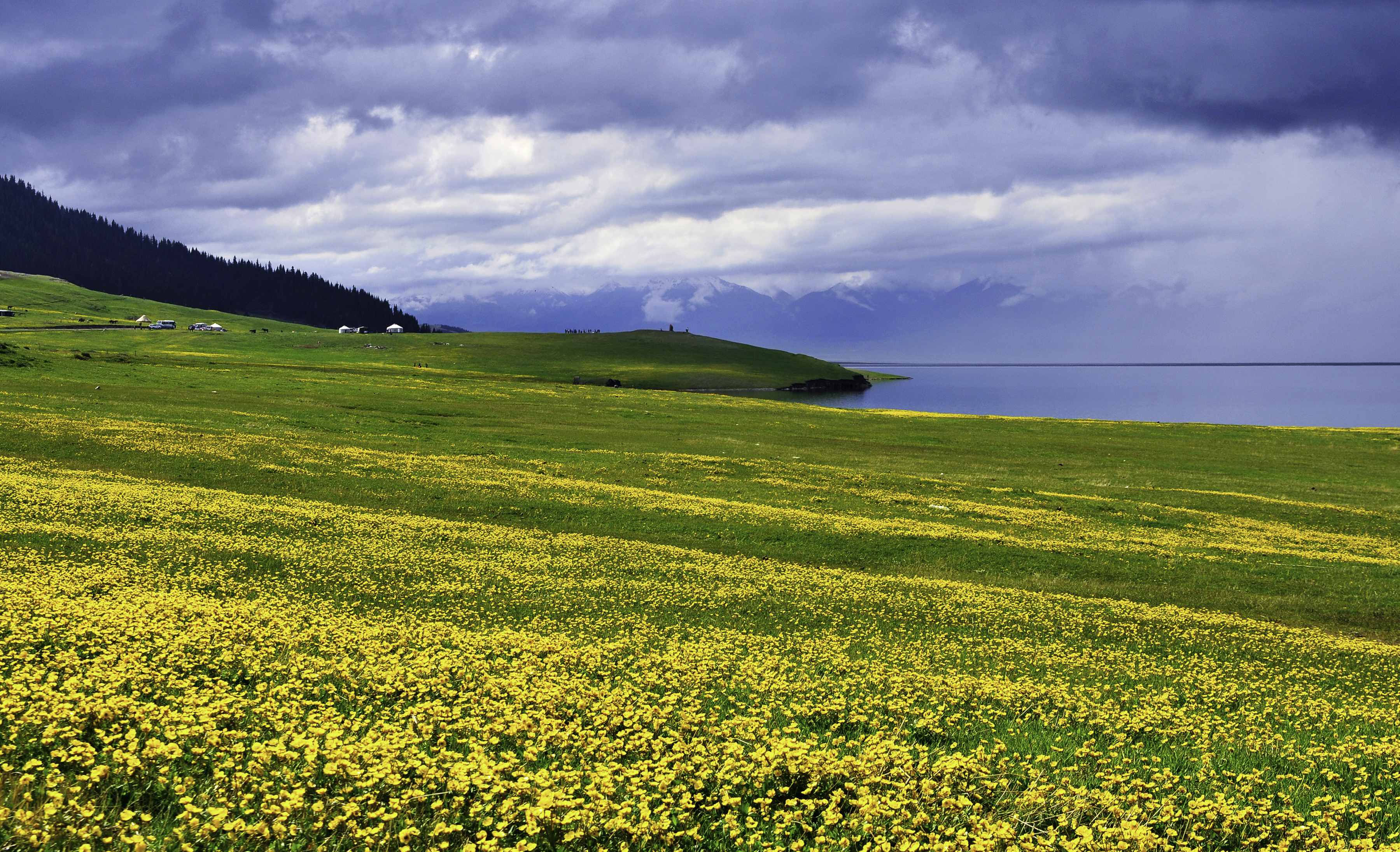 >新疆 /a> a href="#" data-lemmaid="4328230">伊犁哈萨克自治州 /a>