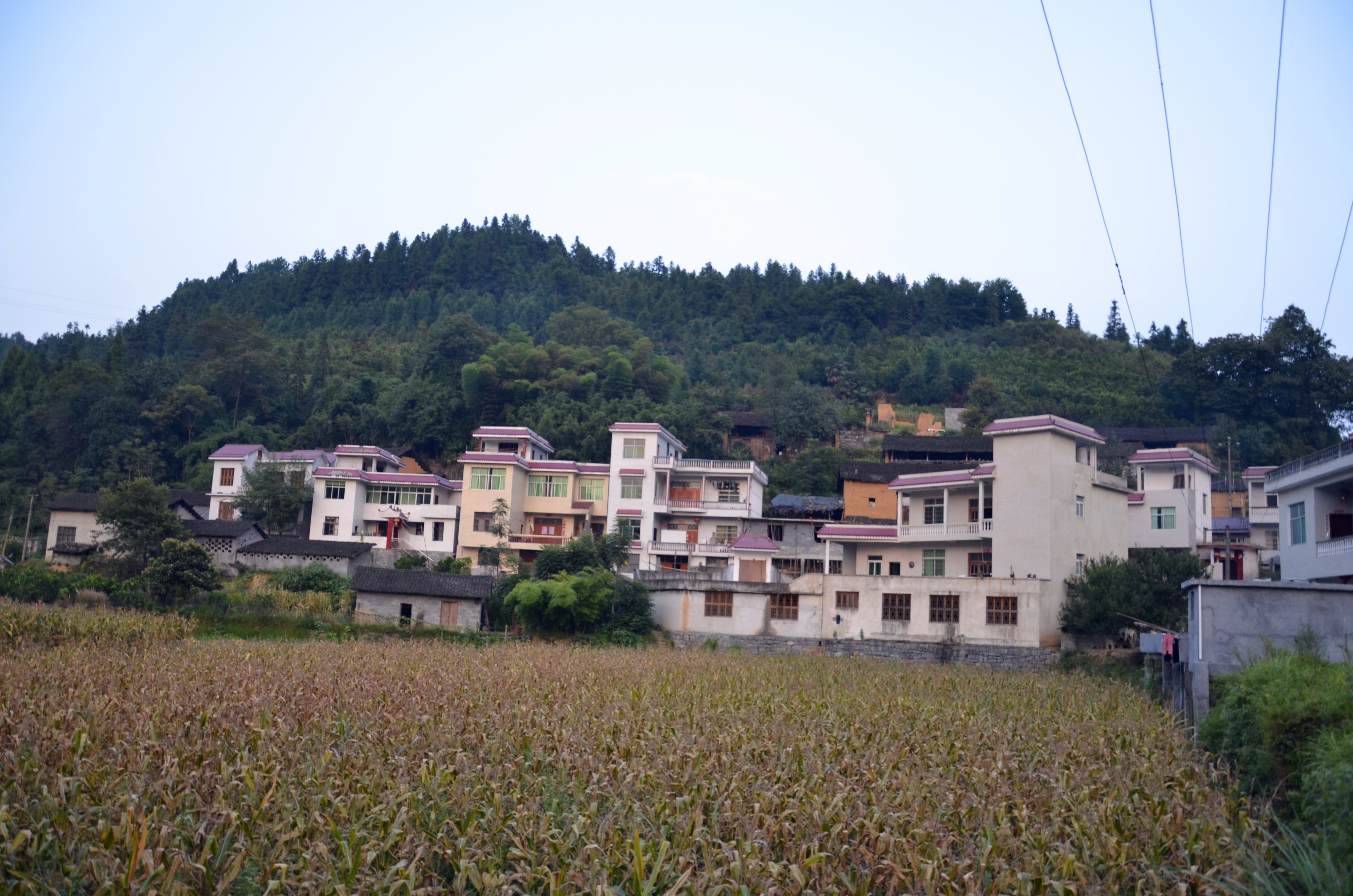 凤凰县水打田乡