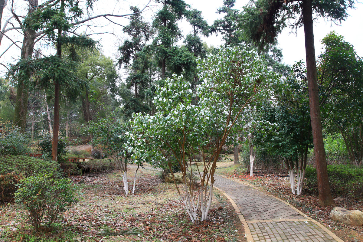 江西省林业科学院