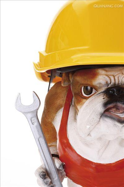 ="#" data-lemmaid="144602">英国 /a>,起源于19世纪,狗中最具有战斗