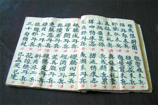 壮语（壮族语言文字）_百度百科
