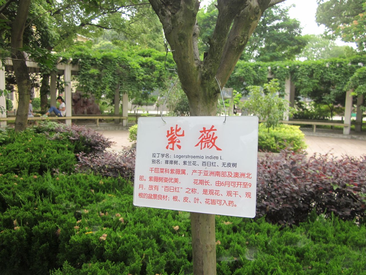 安庆市第七中学