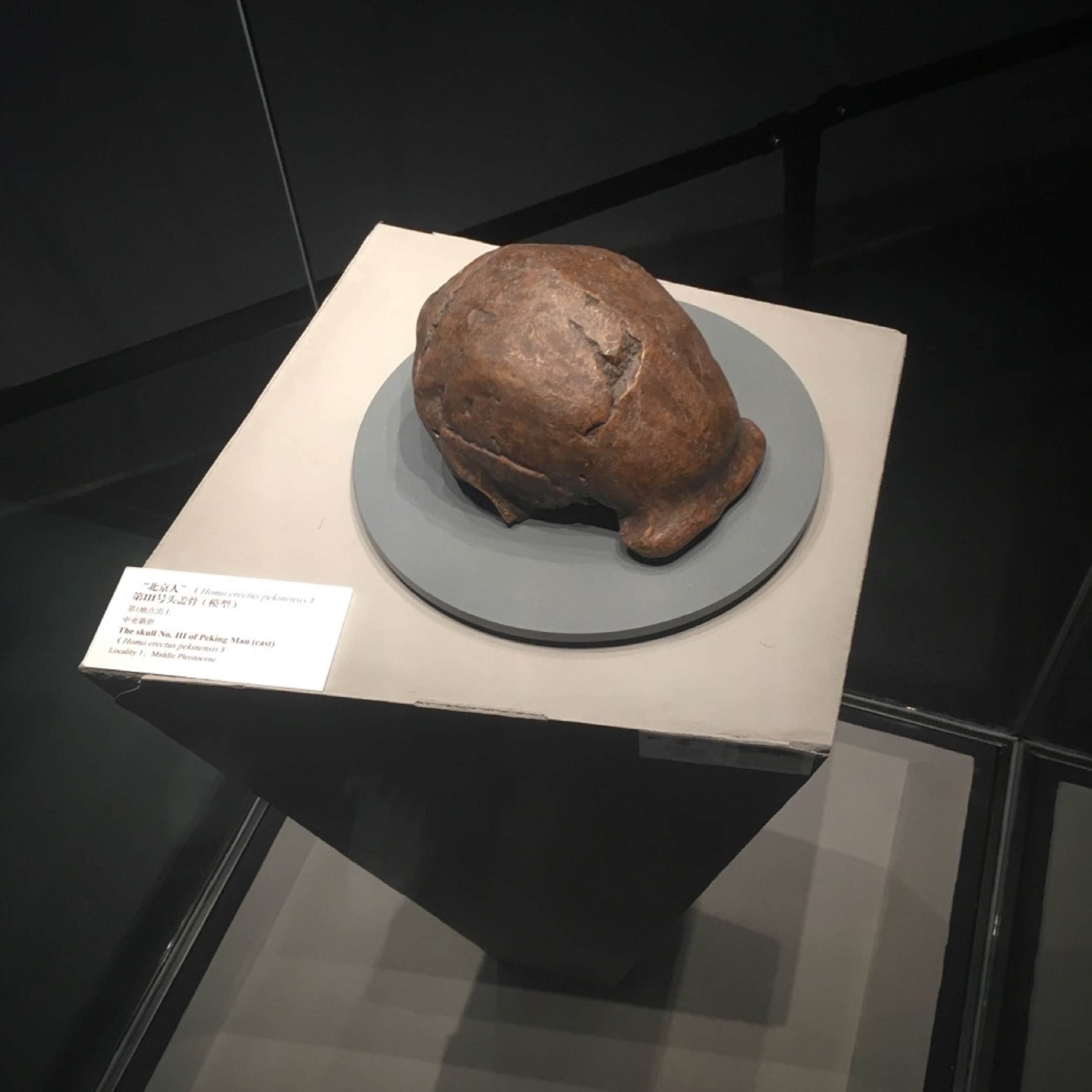 周口店北京人遗址博物馆