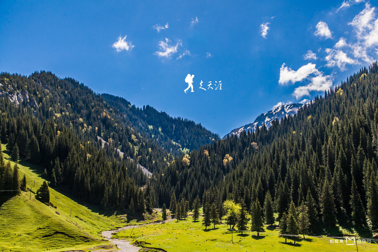  p>果子沟是 a target="_blank" href="/item/伊犁地区/3219088" data