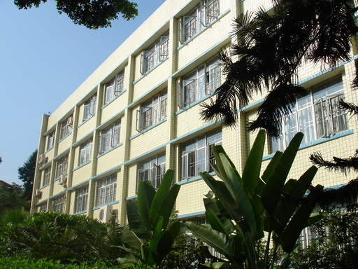 诞生了一所小学——深圳市怡景小学
