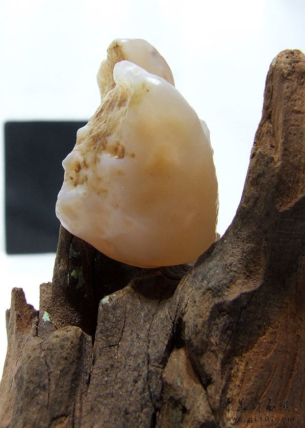  p>石女,也称为石芯子.