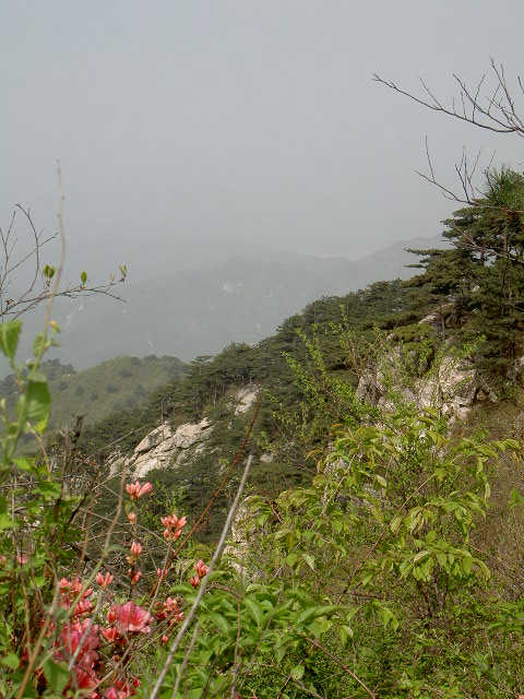 ="/item/麻城市">麻城市 /a>境内,下辖4个村:隘门关,张广河,狮子峰