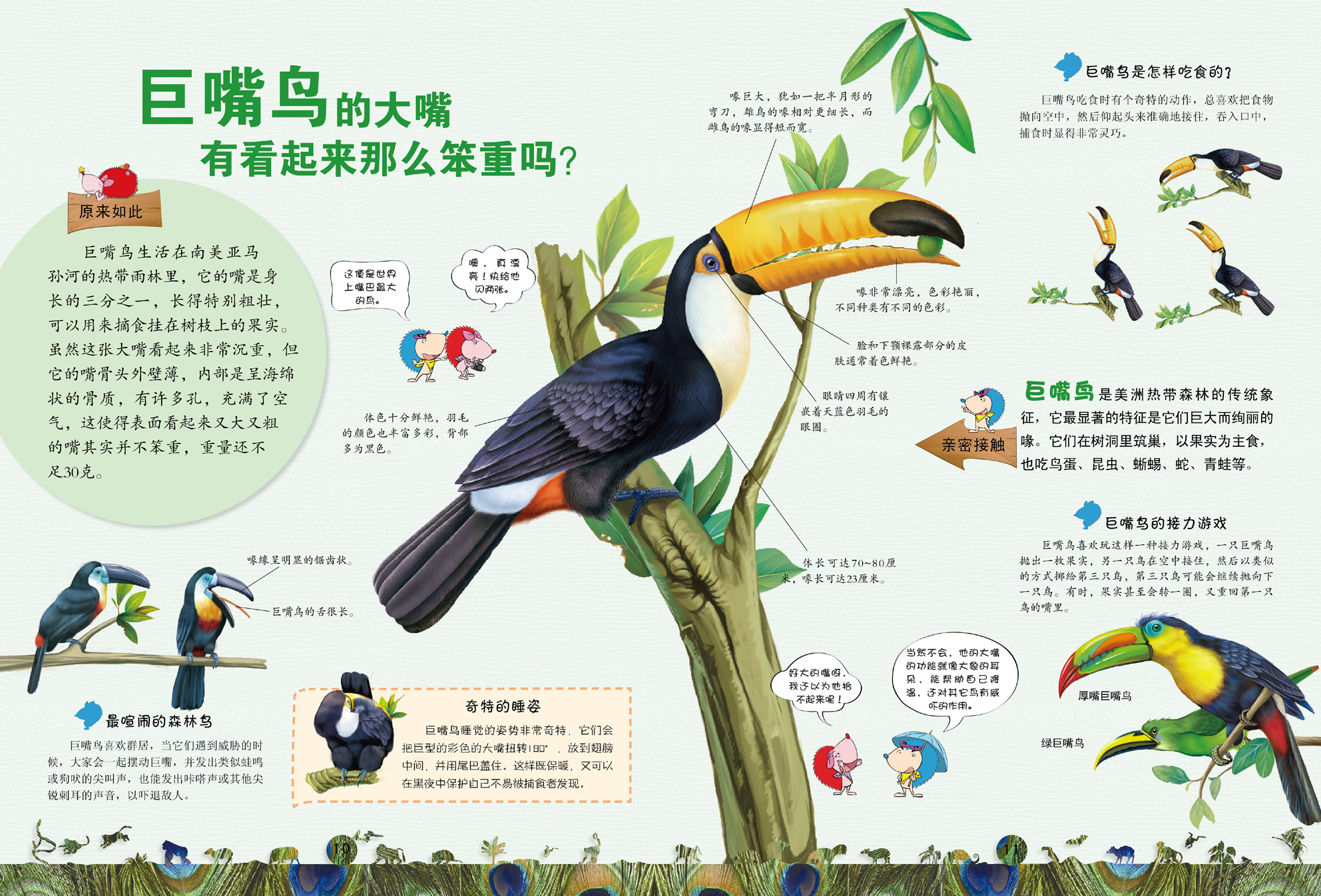 趣味图解动物大百科