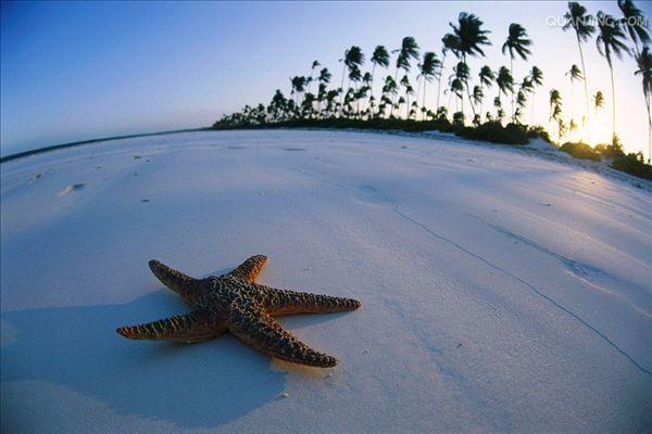  p>坦桑尼亚联合共和国(英文:the united republic of tanzania),简称