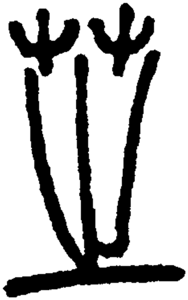  p data-id="gnbvzc7spi">芝(读作zhī)是汉字通用规范一级字( a