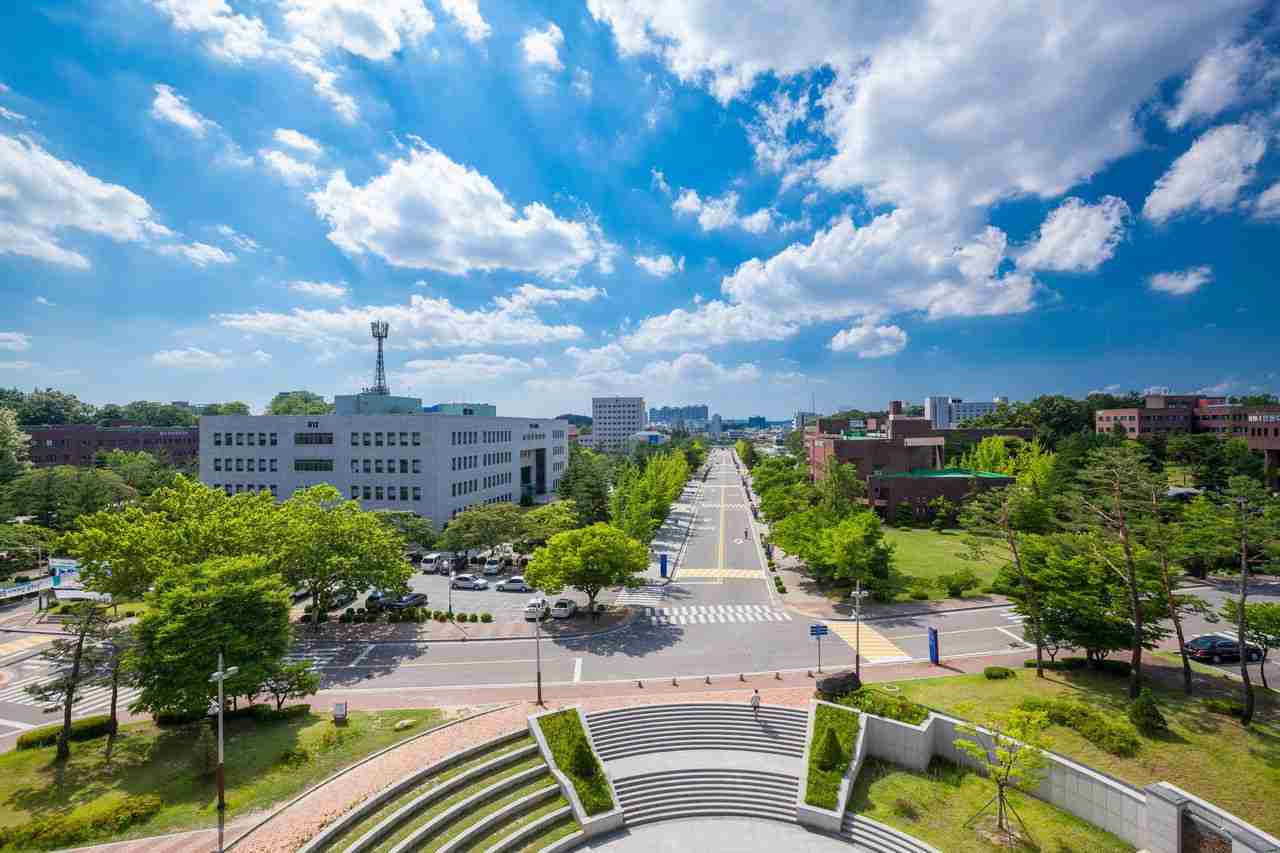 忠北国立大学