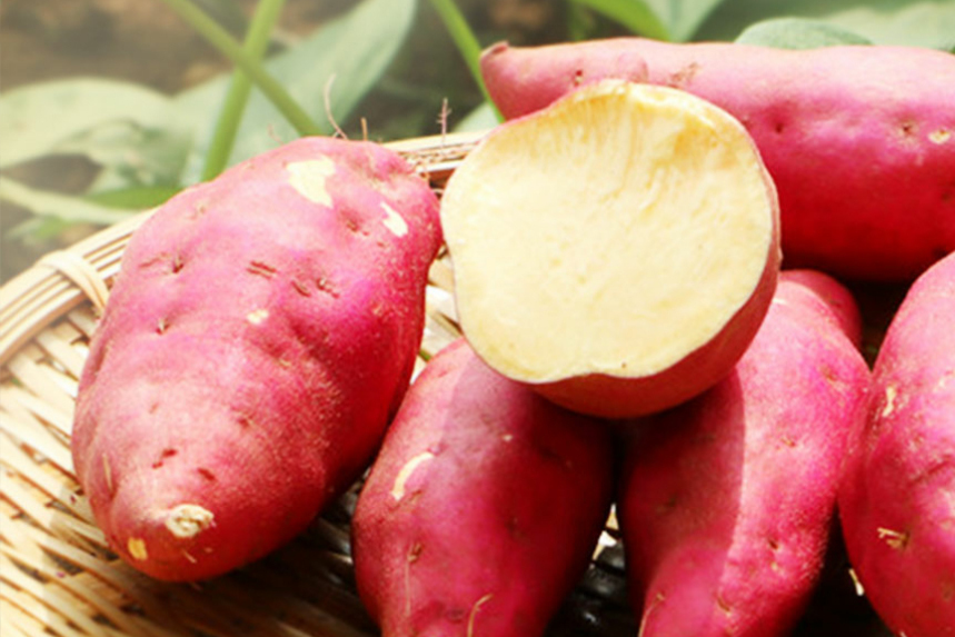 红山药
