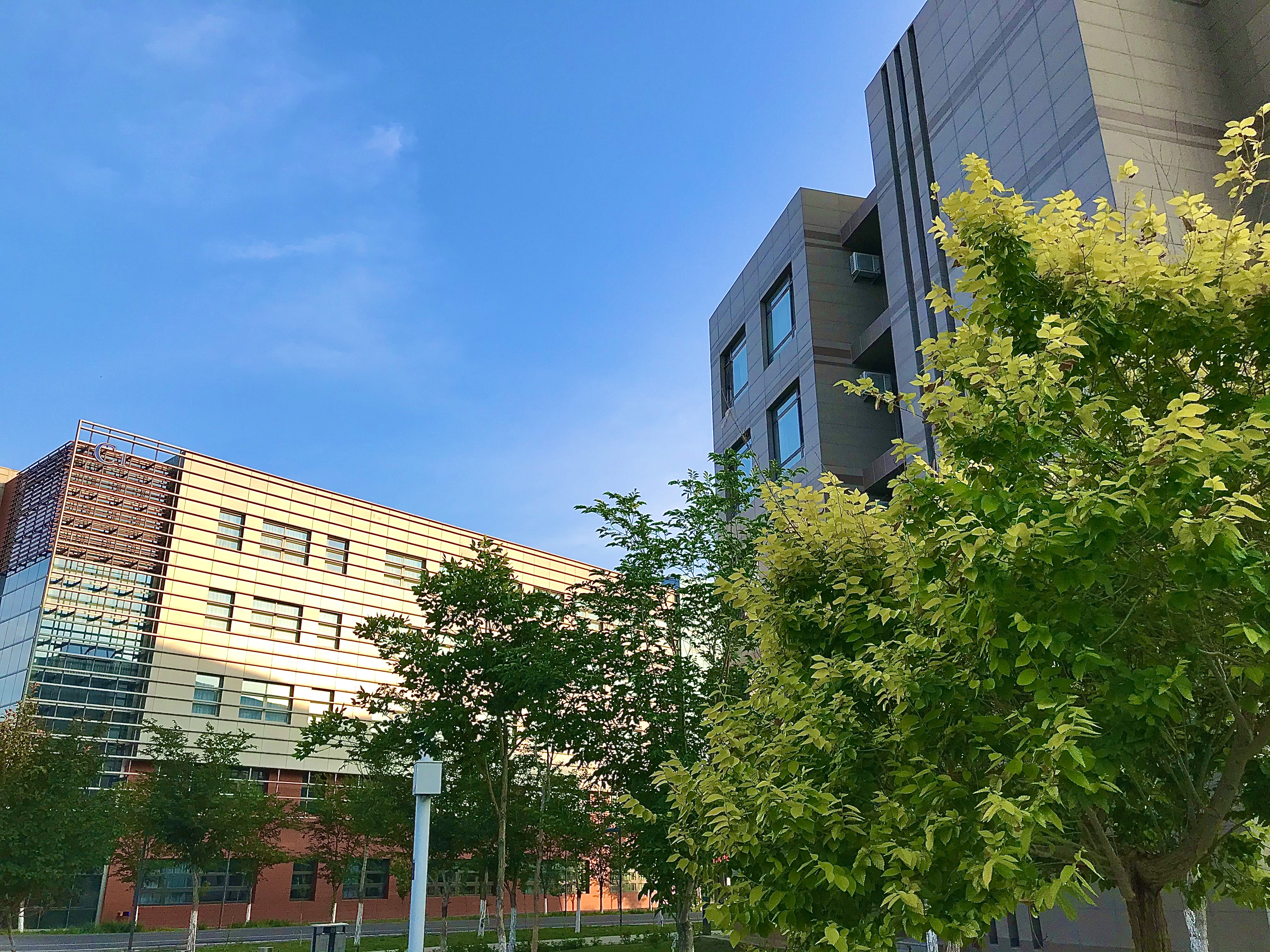 中国石油大学克拉玛依校区